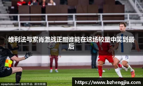 多宝电竞
